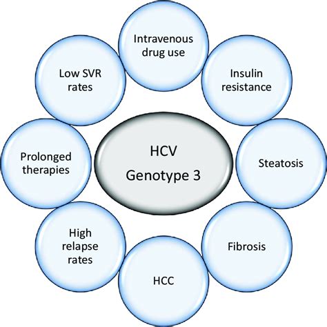 Special Features Of Hcv Genotype 3 Hcc Hepatocellular Carcinoma