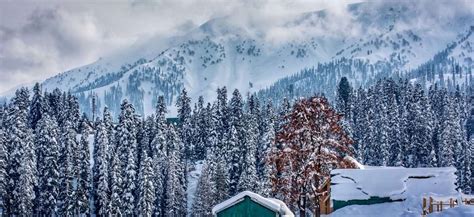 Should You Visit Kashmir in December? 8 things You Need to Know