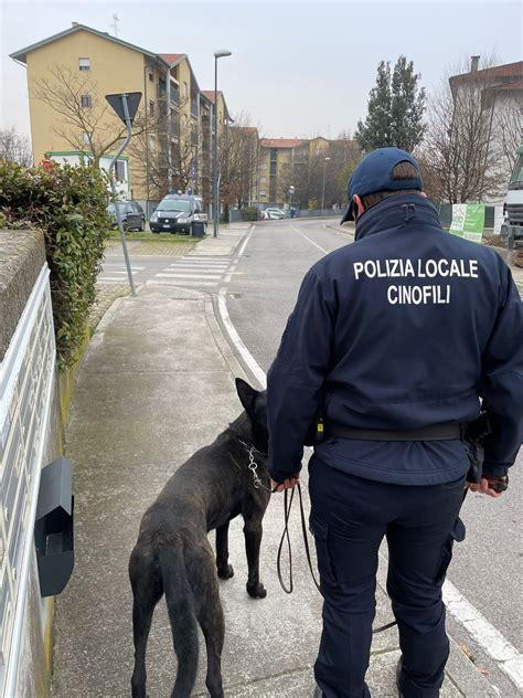 Paese Treviso La Polizia Locale Arresta Un Pusher Nigeriano In Zona