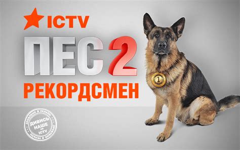 Пес 2 сезон - смотреть онлайн серию второго сезона сериала Пес ...
