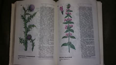 Книга " Дикорастущие съедобные растения в нашем питании" в дар (Москва ...