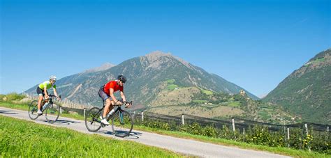 Bicicletta Da Corsa Il Regno Della Bici Da Corsa Regno Della Bici