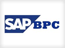 sap bpc consultant mackenzie wayne