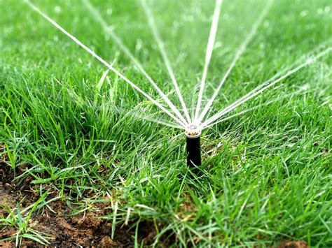 Автополив газона (71 фото) » НА ДАЧЕ ФОТО