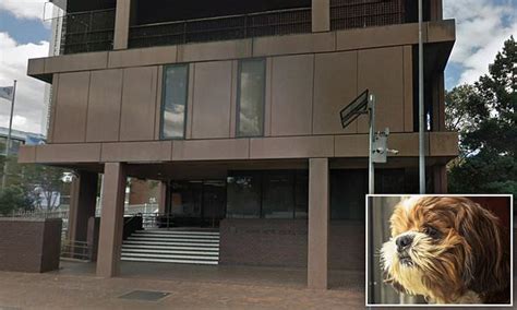 Naked Knife Wielding Man Is Charged After He Allegedly Mutilated