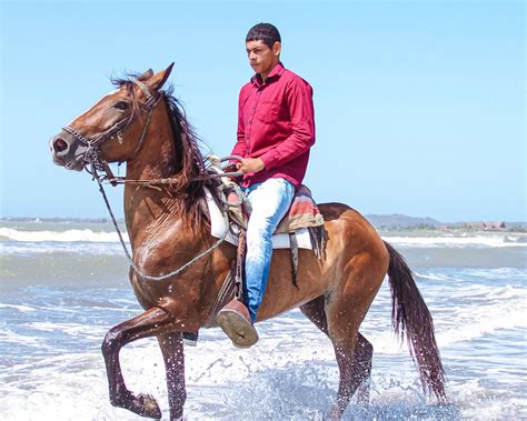 The Best Things To Do In Manzanillo Del Mar 2025