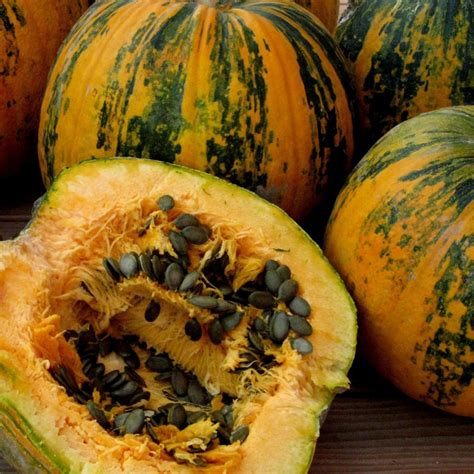 Price 1 55 Oilseed Pumpkin Naked Seeded Pumpkin Seeds