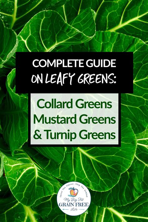 Complete Guide On Greens Collards Mustards And Turnip Greens