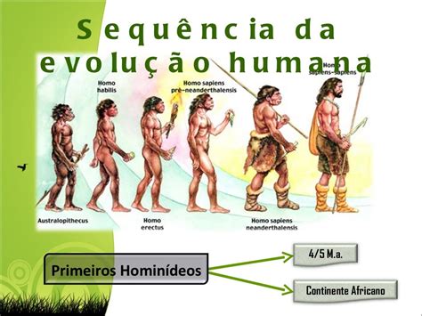 A Evolução Dos Humanos - 7