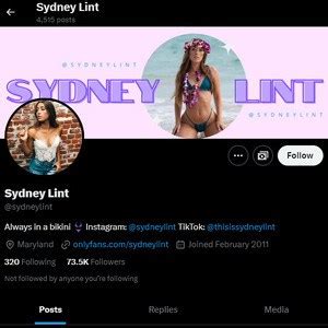 Sydney Lint X Twitter 1062 Twitter Porn Accounts Like X