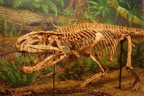 Postosuchus, a Triassic archosaur at the Museum of Texas T… | Flickr