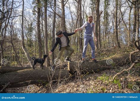 Dos Hombres Pareja Gay Ayudándose Unos a Otros Imagen de archivo Imagen de ocasional socios