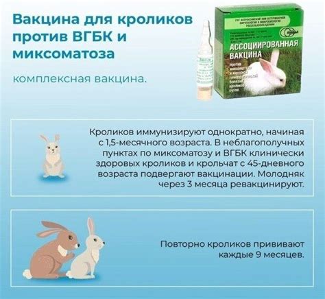 Прививка для кроликов от миксоматоза: подробная инструкция, дозировка и ...