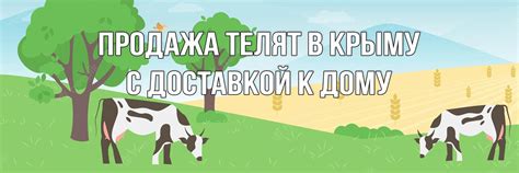 Купить телят в Крыму | У нас вы можете купить телят (бычков и тёлочек ...