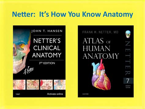 Calaméo - Netter: It's How You Know Anatomy
