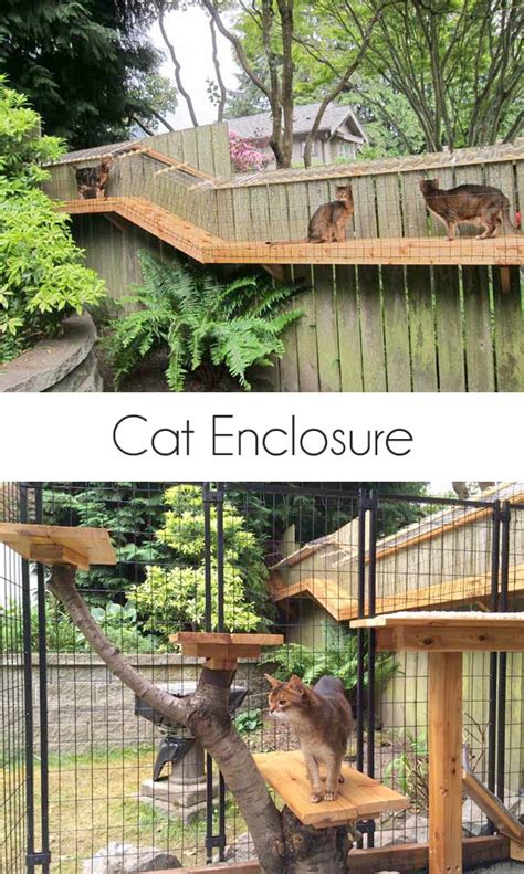 Awesome Large DIY backyard Cat Enclosure | Cuckoo4Design