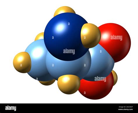 Alanine. Molecular model of the amino acid alanine. Its chemical ...