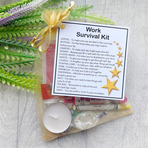 work survival kit novelty gift fun  job gift work gift secret