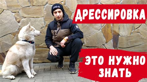 КАК ПРАВИЛЬНО ДРЕССИРОВАТЬ СОБАКУ В ДОМАШНИХ УСЛОВИЯХ - YouTube