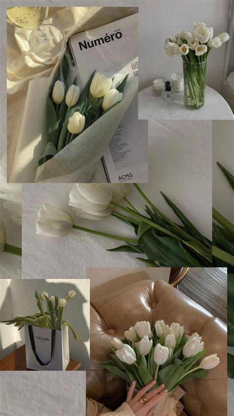 White Tulip Wallpaper