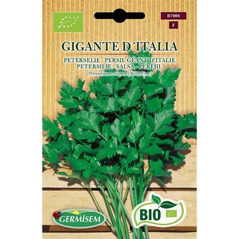 Li Germisem Bio Graines Persil G Ant D Italie Gigante Ditalia