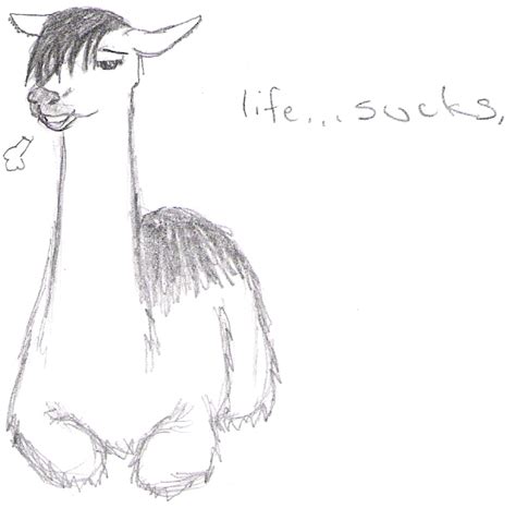 Emo Llama By Melony Mutou On Deviantart