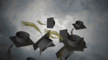 Graduation Cap Toss GIFs | Tenor
