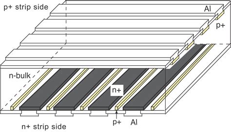 Double Sided Silicon Strip Detector For X Ray Imaging