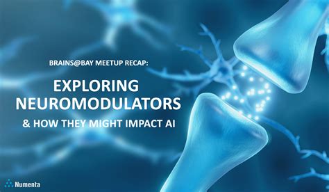 Exploring The Role Of Neuromodulators In Ai Brains Bay Meetup