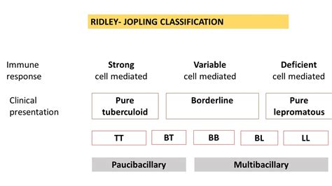 Leprosy Tuberculoid And Lepromatous Pathology Made Simple