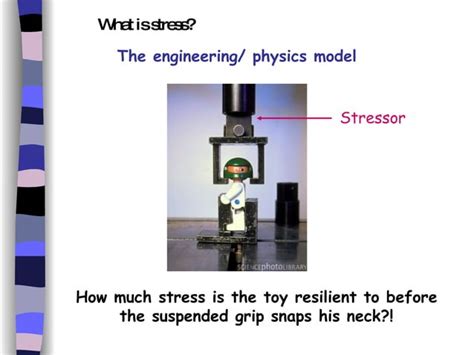 Body Response To Stress Ppt