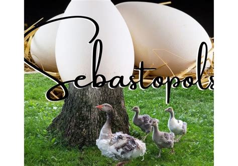Events And Activities For Kids And Families Lebanon Pa Things To Do