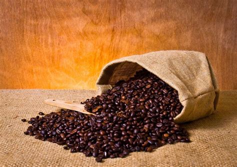 7 Best Sumatra Coffee Brands to Consider in 2024