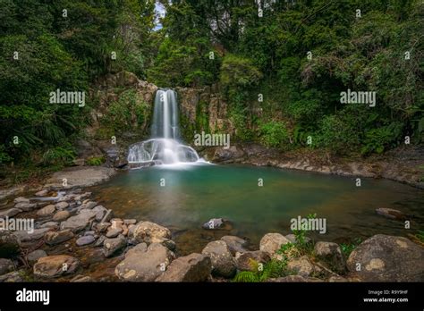 Waiau Falls Whitianga Coromandel Waikato Coromandel Peninsula