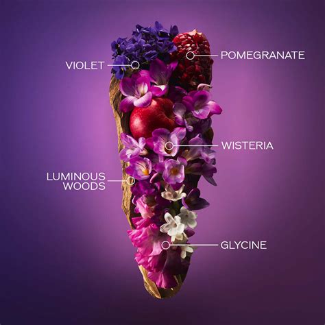 Shiseido Ginza Murasaki Eau de Parfum (EdP) | Alina Cosmetics