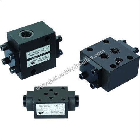 Pilot Operated Hydraulic Check Valve At 120000 Inr In Ahmedabad