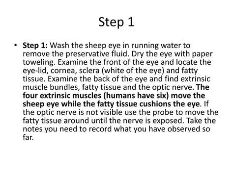 Ppt Sheep Eye Dissection Powerpoint Presentation Free Download Id