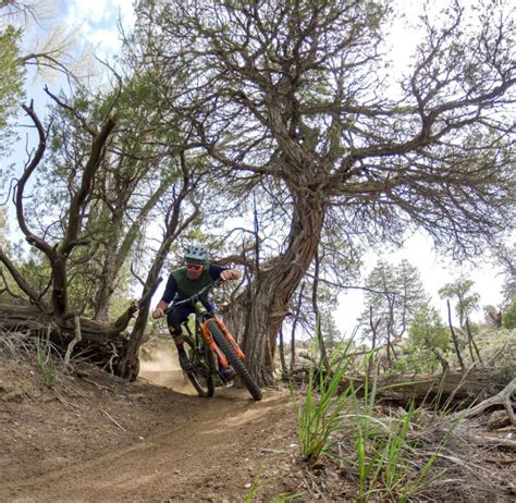 Find Things To Do And Activities Crested Butte Gunnison