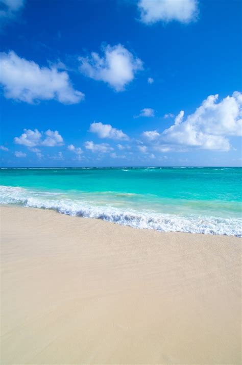 Sex Offenders On The Beach