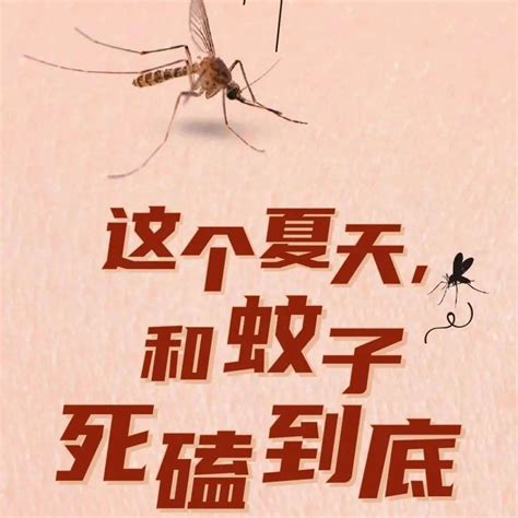 你是o型血吗？为什么蚊子总咬你？“都市传说”是真的吗？人群口水临海