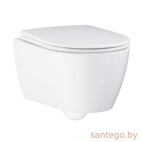 Подвесной унитаз Grohe Essence