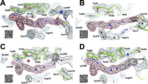 Co Crystal Structures Of Full Length Akt In Complex With Different