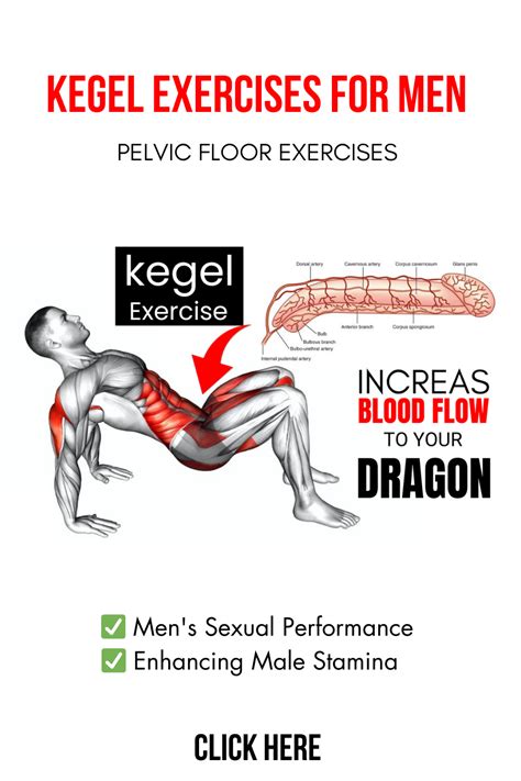 Kegel exercises for men pelvic floor exercises exercises to strengthen ...