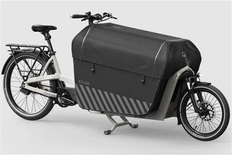 Cargo Bike Ca Go Fs Vario Specialised In Transport Heavy Loads