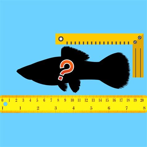 longest fish youve caught  rfishing