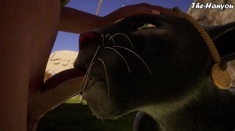 Wild Life K The Purrfect Pussy