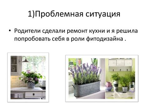 Комнатные растения в интерьере жилого дома - online presentation