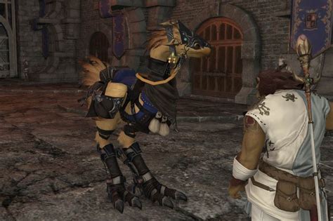 Ffxiv Chocobo Barding Guide Updated Patch 655 Late To The Party Finder