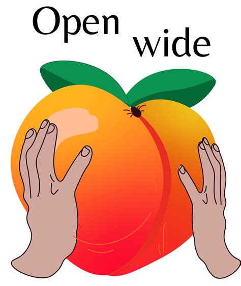 Anal Gape How To Guide Bedbible