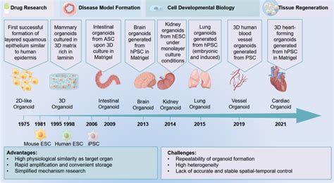 Schematic diagram of the development history of organoids. Organoids ...